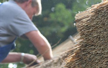 professional Hillstown thatchers